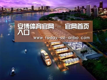 案例展示八