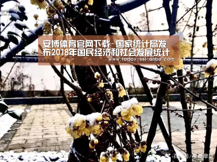 安博体育官网下载-国家统计局发布2018年国民经济和社会发展统计公报(图1) 安博体育官网下载