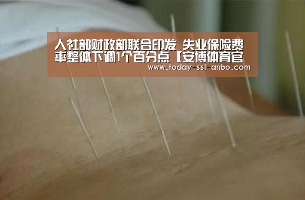 人社部财政部联合印发 失业保险费率整体下调1个百分点【安博体育官网下载】(图2) 安博体育官网下载