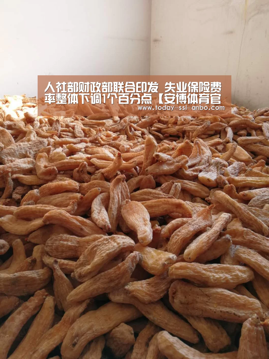人社部财政部联合印发 失业保险费率整体下调1个百分点【安博体育官网下载】(图4) 安博体育官网下载