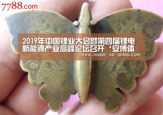 2019年中国锂业大会暨第四届锂电新能源产业高峰论坛召开‘安博体育官网下载’(图2) 安博体育官网下载