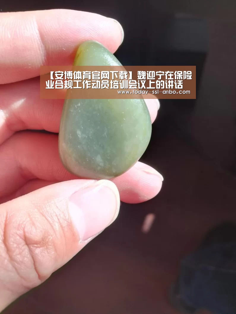 【安博体育官网下载】魏迎宁在保险业合规工作动员培训会议上的讲话(图3) 安博体育官网下载